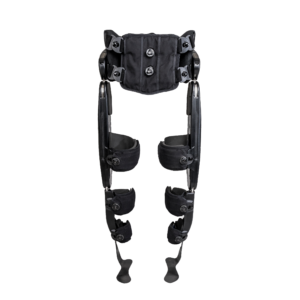 Indego